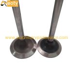 3029 Engine Valve for John Deere Diesel Engines – Forklift, Excavator, Loader, Truck product image 3