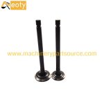3LA1 Engine Valve for Isuzu Diesel Engine Parts – Excavator, Forklift, Truck