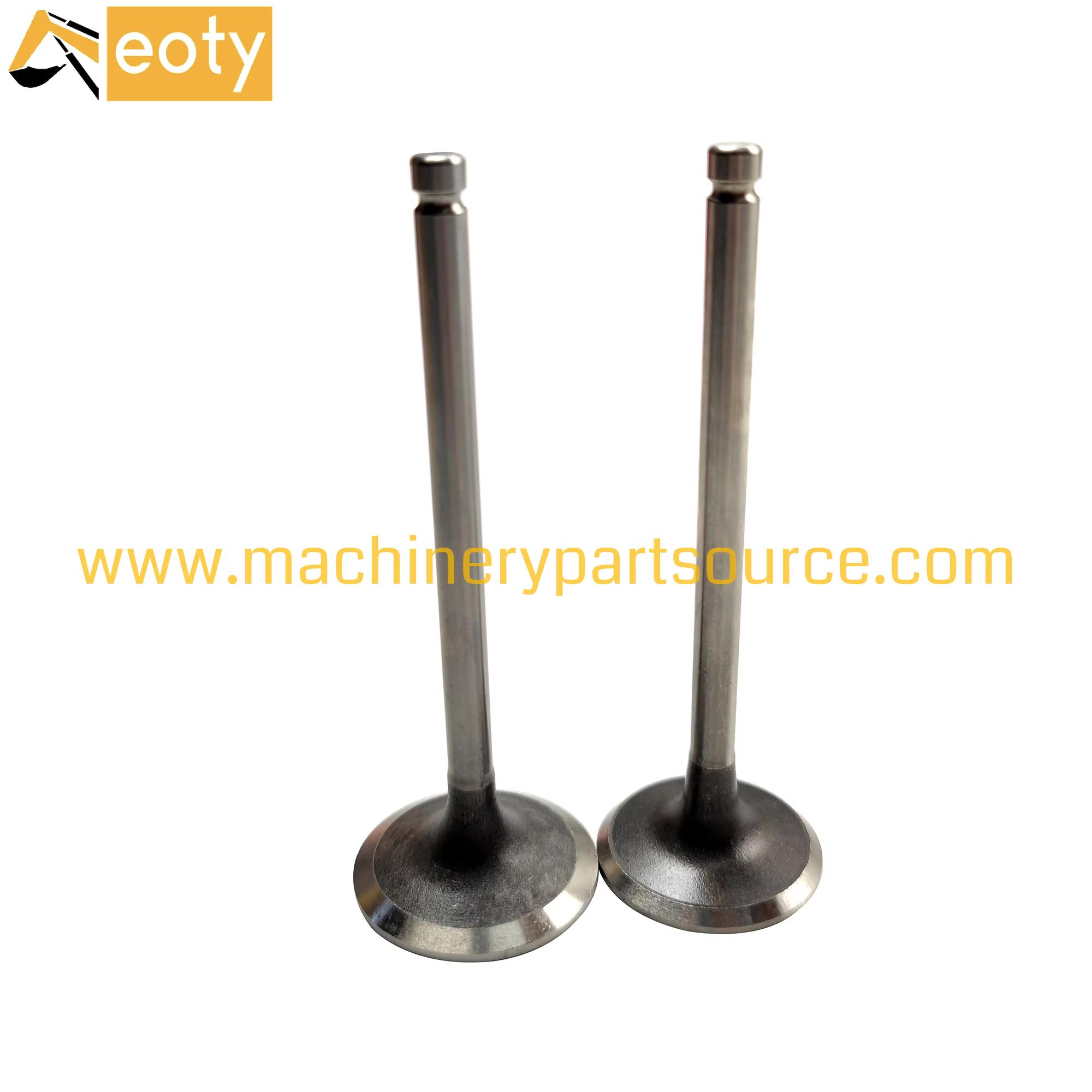 4d104 S4d104-1 S4d104e-3 Engine Valve Intake & Exhaust Valves for Iveco Engine Spare Parts