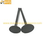 Komatsu 4D94 Engine Valve Set 6136-41-4110 & 6136-41-4210 | Intake & Exhaust product image 2