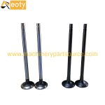 Isuzu 6WA1 Engine Valve Set 1-12551-139-0 / 1-12552-706-0 – Intake & Exhaust Valves