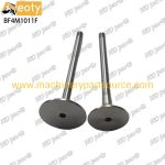 HDparts BF4M1011F Diesel Engine Valve – High Quality, 6-Month Warranty, B2B Supply product image 4