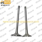 HDparts BF4M1011F Diesel Engine Valve – High Quality, 6-Month Warranty, B2B Supply product image 5