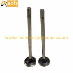 C13 Intake Valve 2243028 252-7802 and Exhaust Valve 2481467 224-3030 for Caterpillar Diesel Engine product image 2