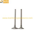 C190 Engine Valve for Isuzu Engine Parts | Excavator, Truck, Forklift product image 2