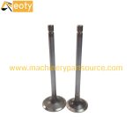C3.4B Engine Valve for Caterpillar Engine Parts – OEM Size Diesel Valve