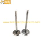 C6121ZG19B Engine Valve for Shang Chai Diesel Engine Parts – product image 2