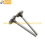 C6121ZG19B Engine Valve for Shang Chai Diesel Engine Parts – product image 4