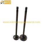 C6.4 320d Engine Intake & Exhaust Valves 294-1684 294-1685 for Caterpillar E320d Excavator