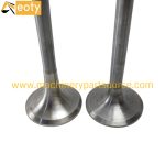 Volvo D12D Engine Valve VOE20459326 20459326 – OEM Replacement for Excavator & Truck Engines product image 2