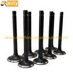 Kubota D1403 D1503 D1703 D1803 V1903 V2403 Intake 1G852-13122 & Exhaust Valve 1G852-13121 Engine Parts