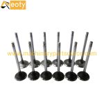 D6114ZG2B Engine Valve for Shang Chai Diesel Engine Parts – Construction, Industrial, Marine