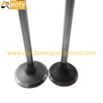 D6114ZG2B Engine Valve for Shang Chai Diesel Engine Parts – Construction, Industrial, Marine product image 2