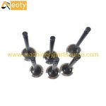 D902 Engine Valve In 1G687-13110 Ex 1G687-13120 for Kubota Tractor Excavator product image 2