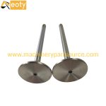 Liebherr D934 Engine Valve Set | OEM Replacement | Heavy-Duty Diesel Engine Parts product image 2