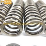 D934 Valve Spring for Liebherr Engine Parts – Heavy Duty Diesel Engine Application product image 2