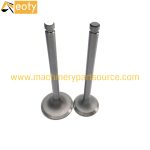 Doosan DB33 Engine Valve Set 65.02500-0001 & 65.02500-0002 | Heavy Equipment Parts