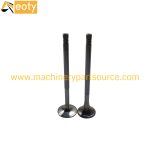 DC13 Engine Valve for Excavator, Truck, Forklift, Bulldozer, Bus & Loader product image 2