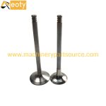 F4M2011 Engine Valve In 04280350 Ex 04280049 for Deutz Diesel Engine Parts