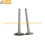 F4M2011 Engine Valve In 04280350 Ex 04280049 for Deutz Diesel Engine Parts product image 2