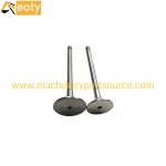 F4M2011 Engine Valve In 04280350 Ex 04280049 for Deutz Diesel Engine Parts product image 3