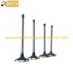 Volvo D7D Engine Intake & Exhaust Valves VOE20405502 0428-3380 for Machinery product image 2