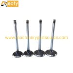 Volvo D7D Engine Intake & Exhaust Valves VOE20405502 0428-3380 for Machinery product image 3