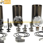 For Yanmar Mini Excavator Diesel Engine Overhaul Repair Set 3tnv80 Rebuild Kits product image 3