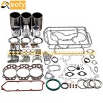 John Deere 3029 Engine Overhaul Repair Set RE520573 Piston & Ring Kit