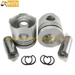 Nissan PD6 Engine Piston 12011-96000 12011-96007 Replacement Diesel Engine Parts