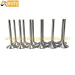 TD226B Engine Valve for Deutz Diesel Engines – Excavator, Truck, Forklift Applications