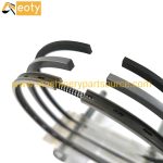 TD23 Piston Ring 12033-02n00 12033-60k00 for Nissan Engine Parts product image 4