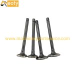 V2203 V2403 Engine Valve 16484-13120 16484-13110 for Kubota Forklift Excavator Parts product image 2