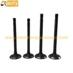 V3600 Engine Valve 1C010-13113 1C010-13110 for Kubota Diesel Engines
