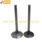 Weichai WP4G95E221 Intake Valve 13057161 & Exhaust Valve 13057162 for Diesel Engine Spare Parts