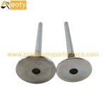 Yuchai YC6B150Z-T11 Intake Valve D30-1003111B & Exhaust Valve D30-1003103B/C Set for Diesel Engine product image 2