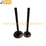4HF1 Engine Valve Set – Isuzu Diesel Engine Parts for Excavator, Forklift, Truck & Loader