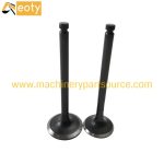 123900-11100 Engine Valve for Yanmar 4TNE106 Excavator, Forklift, Diesel Engine Parts