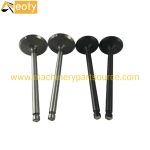 6D15 Engine Valve ME031939 ME031937 for Mitsubishi Engines Repair Parts product image 4