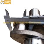 B3.9-p Crankshaft 3929036 for Cummins Engines Repair Parts product image 3