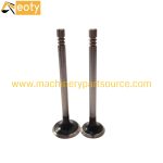 D24 Engine Valve for Doosan Excavator, Truck, Forklift & Bulldozer Diesel Engines