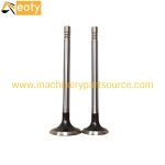 D24 Engine Valve for Doosan Excavator, Truck, Forklift & Bulldozer Diesel Engines product image 2
