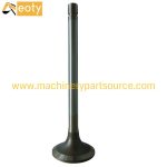 K19 Diesel Engine Intake Valve 3803515 207241 308839