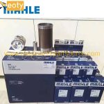 Mahle 3306 Liner Kit LK1654262 1654262 for Caterpillar 3304 D250E D300E 815B Engine