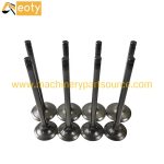 S4F Engine Valve 36704-00401 36704-01601 For Mitsubishi Diesel Engine Parts