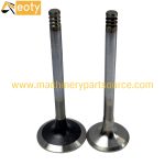 TD2.9 Intake & Exhaust Valve Set for Deutz Diesel Engine | Forklift Excavator Parts